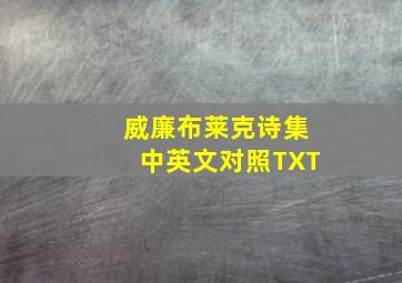 威廉布莱克诗集中英文对照TXT