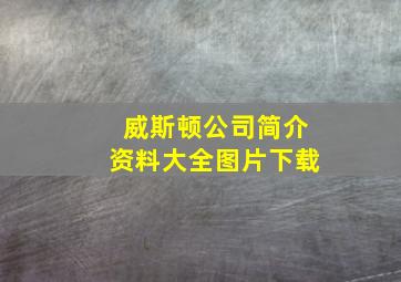 威斯顿公司简介资料大全图片下载