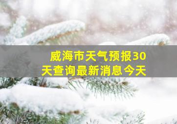 威海市天气预报30天查询最新消息今天