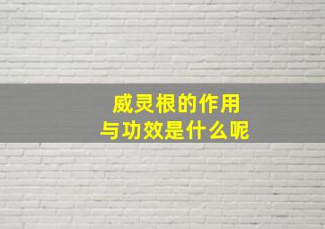 威灵根的作用与功效是什么呢