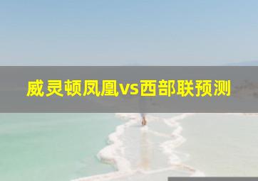 威灵顿凤凰vs西部联预测