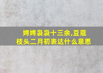 娉娉袅袅十三余,豆蔻枝头二月初表达什么意思