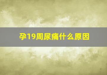 孕19周尿痛什么原因