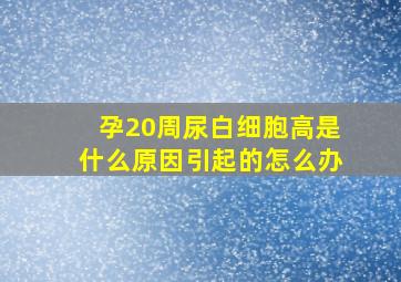 孕20周尿白细胞高是什么原因引起的怎么办