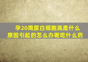 孕20周尿白细胞高是什么原因引起的怎么办呢吃什么药