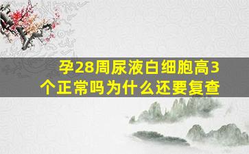 孕28周尿液白细胞高3个正常吗为什么还要复查