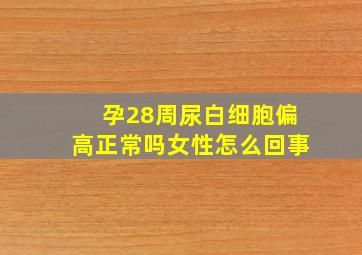 孕28周尿白细胞偏高正常吗女性怎么回事