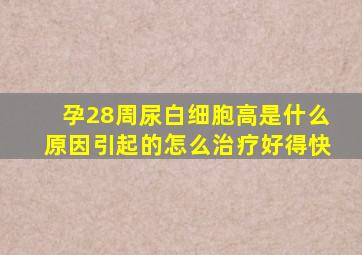 孕28周尿白细胞高是什么原因引起的怎么治疗好得快