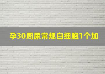 孕30周尿常规白细胞1个加