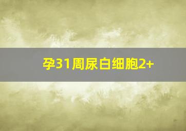 孕31周尿白细胞2+