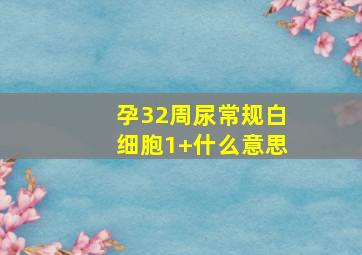 孕32周尿常规白细胞1+什么意思