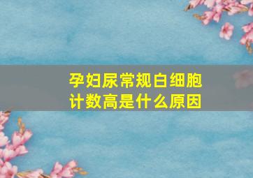 孕妇尿常规白细胞计数高是什么原因