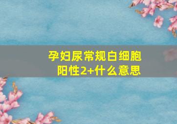 孕妇尿常规白细胞阳性2+什么意思