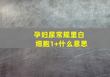 孕妇尿常规里白细胞1+什么意思