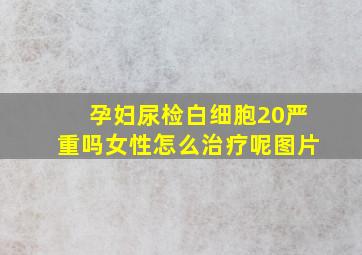 孕妇尿检白细胞20严重吗女性怎么治疗呢图片