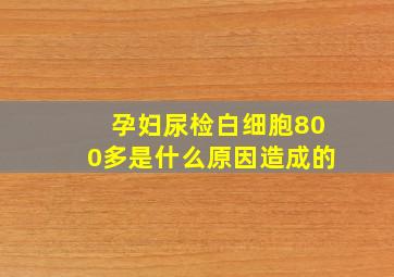 孕妇尿检白细胞800多是什么原因造成的