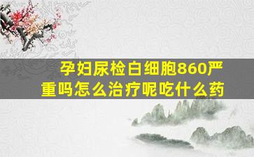 孕妇尿检白细胞860严重吗怎么治疗呢吃什么药