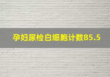 孕妇尿检白细胞计数85.5