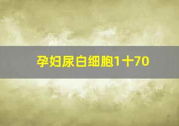 孕妇尿白细胞1十70