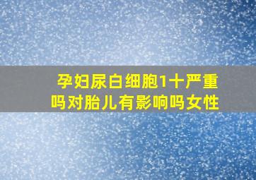 孕妇尿白细胞1十严重吗对胎儿有影响吗女性