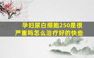 孕妇尿白细胞250是很严重吗怎么治疗好的快些