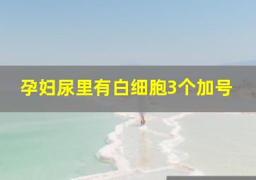 孕妇尿里有白细胞3个加号