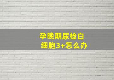 孕晚期尿检白细胞3+怎么办