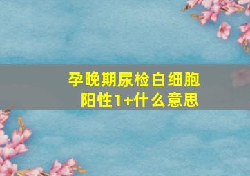 孕晚期尿检白细胞阳性1+什么意思