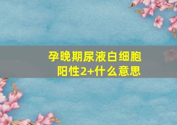 孕晚期尿液白细胞阳性2+什么意思