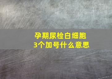 孕期尿检白细胞3个加号什么意思