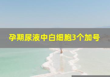 孕期尿液中白细胞3个加号