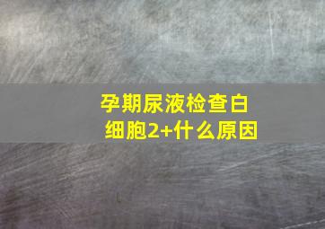 孕期尿液检查白细胞2+什么原因