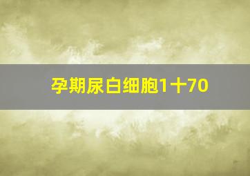 孕期尿白细胞1十70