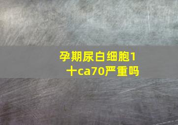 孕期尿白细胞1十ca70严重吗