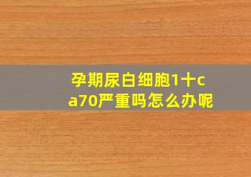 孕期尿白细胞1十ca70严重吗怎么办呢