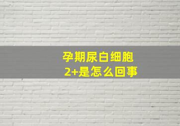 孕期尿白细胞2+是怎么回事