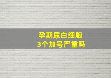 孕期尿白细胞3个加号严重吗