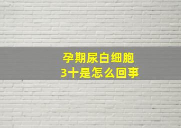 孕期尿白细胞3十是怎么回事