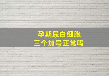 孕期尿白细胞三个加号正常吗