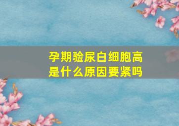 孕期验尿白细胞高是什么原因要紧吗