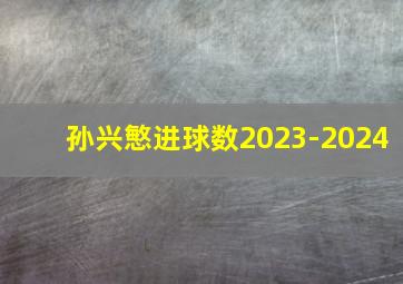 孙兴慜进球数2023-2024