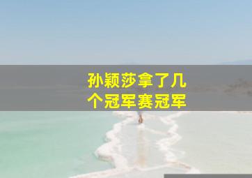 孙颖莎拿了几个冠军赛冠军