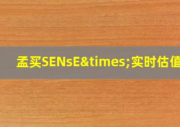 孟买SENsE×实时估值一