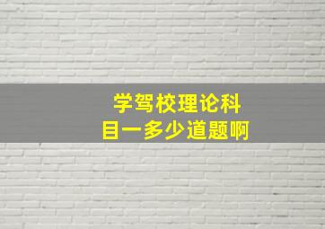 学驾校理论科目一多少道题啊