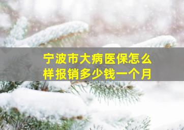 宁波市大病医保怎么样报销多少钱一个月