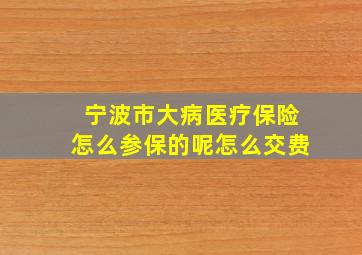 宁波市大病医疗保险怎么参保的呢怎么交费