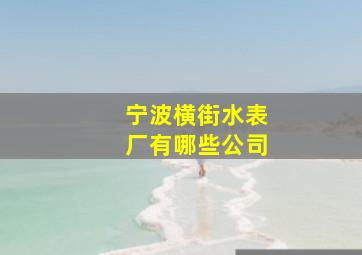 宁波横街水表厂有哪些公司