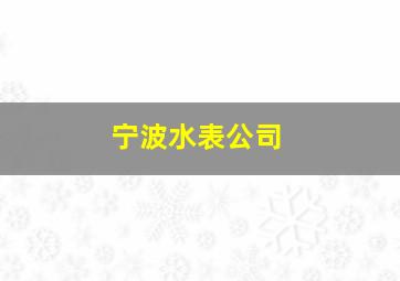 宁波水表公司