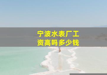 宁波水表厂工资高吗多少钱