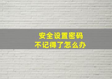 安全设置密码不记得了怎么办